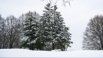 Фотография к новости: Қар, көктайғақ, жел: 10 желтоқсанда бірқатар өңірде ескерту жасалды