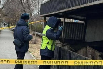 Фотография к новости: Түркістан облысында қоқыстан жаңа туған нәрестенің денесі табылды