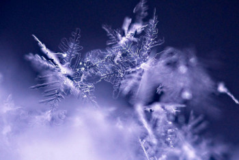 Фотография к новости: Қар, боран: Астана мен 16 облыста дауылды ескерту жарияланды