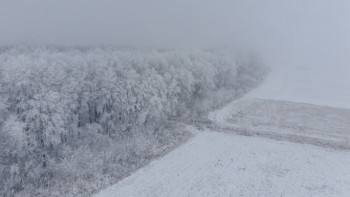 Фотография к новости: Синоптиктер ертең Алматы мен 17 облыста дауылды ескерту жариялады