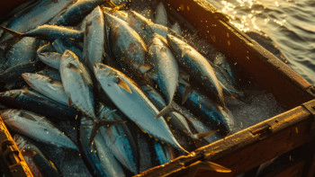 Фотография к новости: Бес жылда елімізде балық өсірушілер саны 4 есеге артты