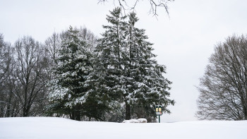 Фотография к новости: 12 желтоқсанда боран мен екпінді жел соғып, көктайғақ болады