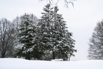 12 желтоқсанда боран мен екпінді жел соғып, көктайғақ болады