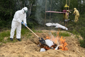 Фотография к новости: Жетісу облысында сібір жарасымен ауырған мал көмілген жерлер қоршауға алынды – әкім