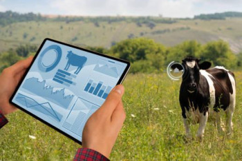 Фотография к новости: Қазақстанда енді төрт түлік мал да цифрлық бақылауда болады