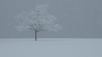 Фотография к новости: Қар, бұрқасын: 16 желтоқсанда барлық өңірде дабылды ескерту жарияланды