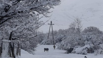 Фотография к новости: БҚО-да боранда хабарсыз кеткен тағы бір адам өлі табылды