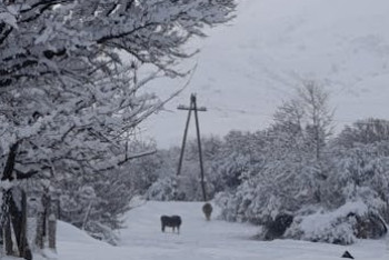 БҚО-да боранда хабарсыз кеткен тағы бір адам өлі табылды