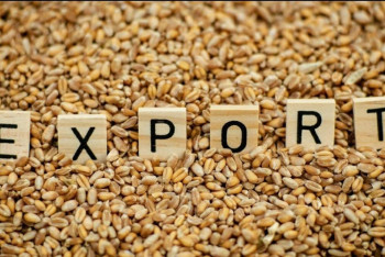 Фотография к новости: 2026 жылы астық экспорттауға 30 млрд теңгеден астам қаржы бағытталады