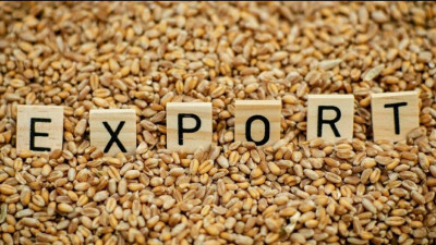 2026 жылы астық экспорттауға 30 млрд теңгеден астам қаржы бағытталады