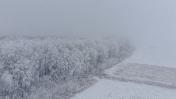 Фотография к новости: Қар, боран, көктайғақ: республика бойынша дауылды ескерту жарияланды