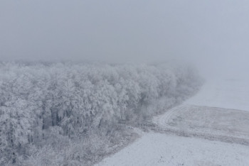 Фотография к новости: Қар, боран, көктайғақ: республика бойынша дауылды ескерту жарияланды