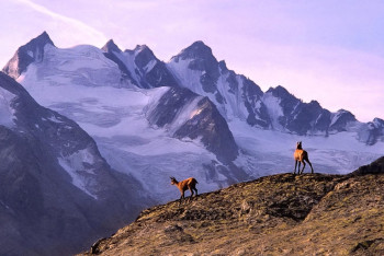 Фотография к новости: Қазақстан мұздықтарды халықаралық деңгейде зерттейтін алаңға айналады