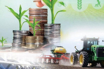 Ауыл шаруашылығының жалпы өнімі 6,1%-ға артқан