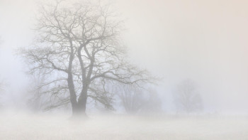 Фотография к новости: Қар және боран: бірқатар облыста дауылды ескерту жарияланды