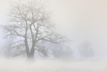 Фотография к новости: Қар және боран: бірқатар облыста дауылды ескерту жарияланды