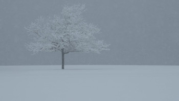 Фотография к новости: Елімізде 19 желтоқсанда қар жауып, боран соғады