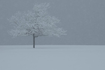 Фотография к новости: Елімізде 19 желтоқсанда қар жауып, боран соғады