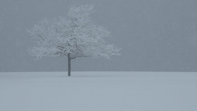 Елімізде 19 желтоқсанда қар жауып, боран соғады