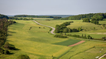 Фотография к новости: Алматы облысында 91 мың гектар жер мемлекет меншігіне қайтарылды