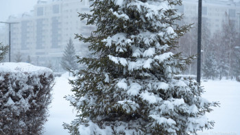 Фотография к новости: - 35°С аяз: Алдағы үш күнге арналған ауа райы болжамы