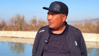 Фотография к новости: Еңбек адамының жаңашыл бастамасы