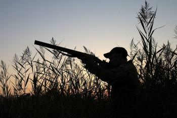 Аңға шығып, жоғалып кеткен ер адам өлі табылды