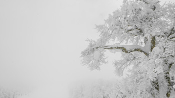 Фотография к новости: Боран, тұман және көктайғақ: 16 облыста дауылды ескерту жарияланды