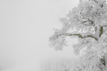 Фотография к новости: Боран, тұман және көктайғақ: 16 облыста дауылды ескерту жарияланды