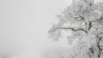 Боран, тұман және көктайғақ: 16 облыста дауылды ескерту жарияланды