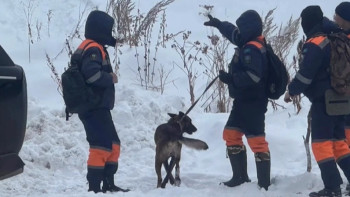 Фотография к новости: Алматы тауларында қыз баланың мәйіті табылды