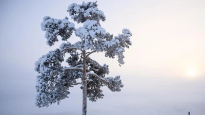-51,7 °C: Якутия әлемдік суық рейтингінде көш бастады