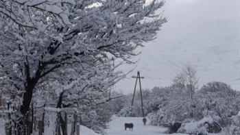 Фотография к новости: "Тұман, боран, көктайғақ". Елдің басым бөлігінде қолайсыз ауа райы сақталады