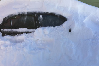 Фотография к новости: "Көлігі қарға көмілген": Қарағанды облысында мал іздеуге шыққан ер адамның денесі табылды