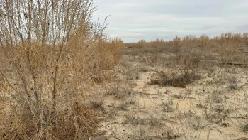 Фотография к новости: Қошқар-Ата қалдық қоймасы: Мердігермен соттасу жүріп жатыр – әкім