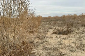 Қошқар-Ата қалдық қоймасы: Мердігермен соттасу жүріп жатыр – әкім