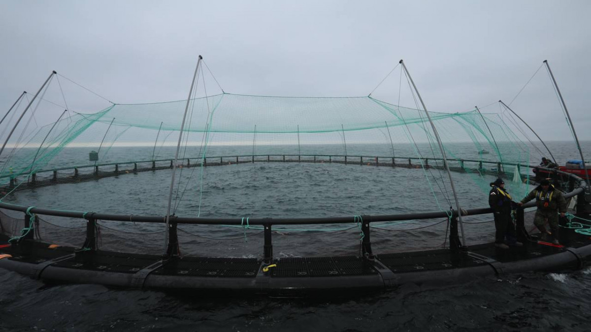  Маңғыстау облысы әкімінің баспасөз қызметі