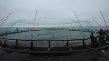 Фотография к новости: Маңғыстауда Орталық Азиядағы алғашқы теңіз аквашаруашылық жобасы іске асуда