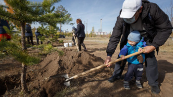 Фотография к новости: 2025 жылдың ең үздік экологиялық нәтижелері жарияланды