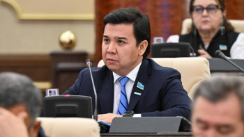 Фотография к новости: Мәжіліс депутаты азық-түлік бағасын бақылаудағы кемшіліктерді атады