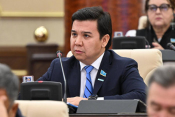 Фотография к новости: Мәжіліс депутаты азық-түлік бағасын бақылаудағы кемшіліктерді атады