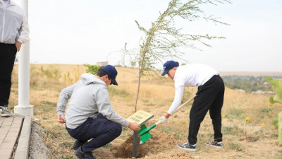 Қазақстанның "жасыл" университеттері әлемдік рейтингте алға шықты