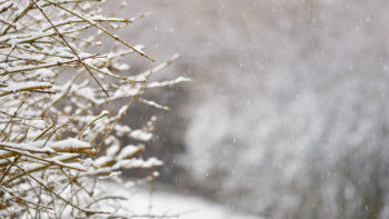 Фотография к новости: Тұман мен көктайғақ: 17 өңірде дауылды ескерту жарияланды