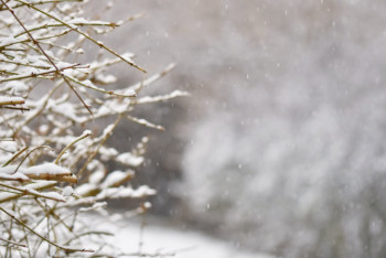 Фотография к новости: Тұман мен көктайғақ: 17 өңірде дауылды ескерту жарияланды