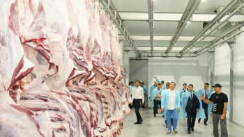 Фотография к новости: Қазақстандық мал шаруашылығы өнімдеріне сыртқы сұраныс артып келеді