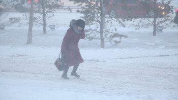 Фотография к новости: Боран мен тұман: 14 облыста дауылды ескерту жарияланды