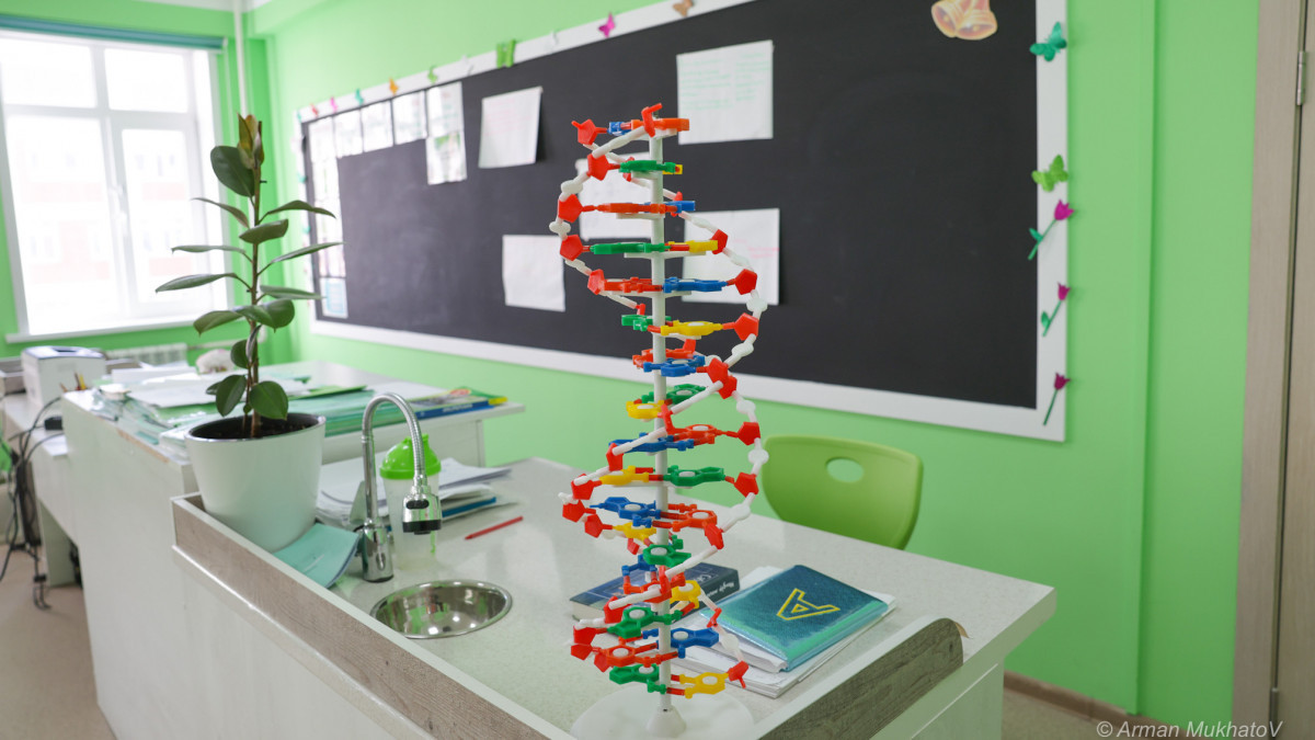  Арман Мухатов  - архив