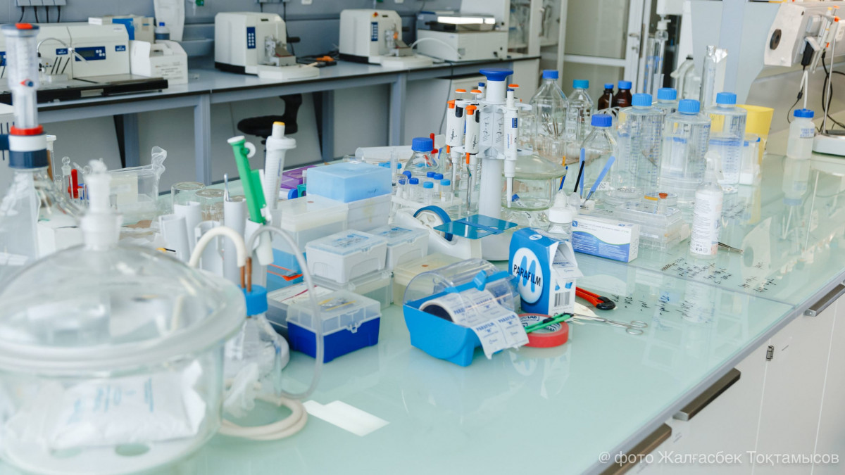  Жалғасбек ТОҚТАМЫСОВ  - архив