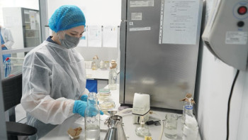 Фотография к новости: Дәрігер Жаңа жыл дастарханындағы қауіпті тағамдарды атады