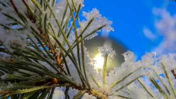 Фотография к новости: Жаңа жылда ауа райы қандай болады? – Синоптиктер болжамы
